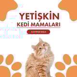 Yetişkin Kedi Mamaları